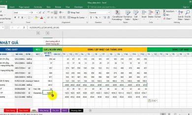 Microsoft Excel – Support tool Quản lý mua hàng: Hướng dẫn + demo | Full file, Mã mở, PivotTable v2.0